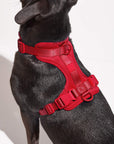 Adjustable Pet Harness – Comfortable & Secure for Dogs & Cats