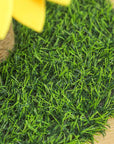 Sunflower Sisal Cat Scratcher – Durable with Natural Grass Base