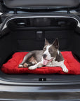 Waterproof Foldable Outdoor Dog Travel Mat – Durable & Easy to Carry