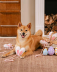 Easter Squeaky Plush Pet Toy – Funny Bunny Heart Design