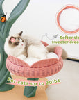 Yellow Tulip Cat Tree - Pawhearth