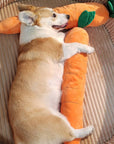 Carrot Squeaky Plush Dog Toy – Interactive & Fun Chew Toy for Dogs