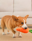 Carrot Squeaky Plush Dog Toy – Interactive & Fun Chew Toy for Dogs