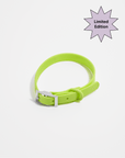 Adjustable Pet Collar – Durable & Comfortable for Dogs & Cats