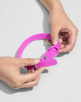 Adjustable Pet Collar – Durable & Comfortable for Dogs & Cats