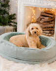 Donut Fluffy Orthopedic Dog Bed - Pawhearth