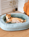 Donut Fluffy Orthopedic Dog Bed - Pawhearth