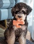 Cactus Shaped Squeaky Dog Toy – Fun & Durable Interactive Chew Toy