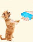 Freezable Popsicle TPR Dog Toy – Durable & Interactive Fun