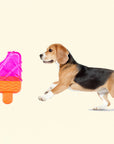 Freezable Popsicle TPR Dog Toy – Durable & Interactive Fun