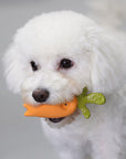 Latex Vegetable Squeaky Dog Toy – Durable Interactive Chew Toy