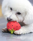 Latex Vegetable Squeaky Dog Toy – Durable Interactive Chew Toy