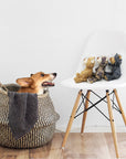 Rustic Denim Bear Dog Toy – Durable & Squeaky Chew Toy