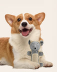 Soft Plush Mouse & Bear Dog Chew Toy – Durable & Squeaky