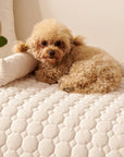 Pearl Fleece Ultra-Soft Dog Mat & Furniture Protector Cover – Cozy & Durable