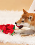 Tennis Ball Dog Toy – Food Hiding & Teething Interactive Fun