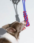 Braided Rope Stick Tug Dog Toy – Color Clash, Durable & Interactive
