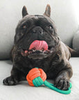 Color Clash Rope Tug Dog Toy – Durable & Interactive Chew Toy