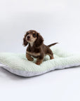 Cooling 3D Cushion Mat for Dogs & Cats – Breathable & Lightweight