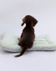 Cooling 3D Cushion Mat for Dogs & Cats – Breathable & Lightweight