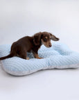 Cooling 3D Cushion Mat for Dogs & Cats – Breathable & Lightweight