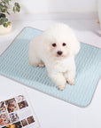Cooling Ice Silk Dog & Cat Mat – Washable, Non-Slip & Breathable