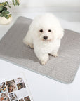 Cooling Ice Silk Dog & Cat Mat – Washable, Non-Slip & Breathable