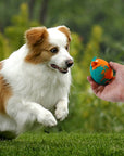 Easter Egg Rubber Dog Toy – Durable & Fun Chew Toy
