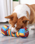 Rainbow Dumbbell Dog Toy – Squeaky, Durable & Rope Interactive