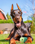 Rolling Treat Ball – Interactive Silicone Dog Toy