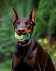 Rolling Treat Ball – Interactive Silicone Dog Toy