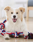 Rope Knot Tug Dog Toy – Interactive Chew & Pull Play Toy
