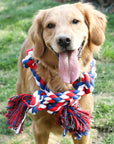 Rope Knot Tug Dog Toy – Interactive Chew & Pull Play Toy