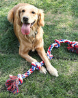Rope Knot Tug Dog Toy – Interactive Chew & Pull Play Toy