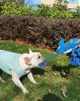 Plush Chameleon Squeaky Dog Toy – Soft & Colorful Fun