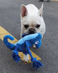 Plush Chameleon Squeaky Dog Toy – Soft & Colorful Fun