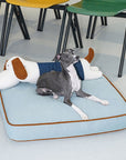 Spacious Denim Dog & Cat Mat with Removable Pillow – Comfortable & Versatile Pet Bed