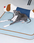 Spacious Denim Dog & Cat Mat with Removable Pillow – Comfortable & Versatile Pet Bed