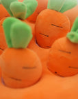 Squeaky Carrot Snuffle Toy – Interactive Enrichment for Dogs