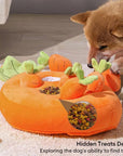 Squeaky Carrot Snuffle Toy – Interactive Enrichment for Dogs