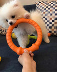 War Ring Durable Waterproof Lightweight Interactive Dog Toy