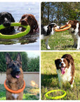 War Ring Durable Waterproof Lightweight Interactive Dog Toy