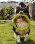 War Ring Durable Waterproof Lightweight Interactive Dog Toy