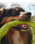 War Ring Durable Waterproof Lightweight Interactive Dog Toy