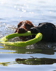War Ring Durable Waterproof Lightweight Interactive Dog Toy