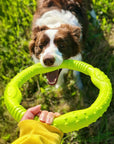 War Ring Durable Waterproof Lightweight Interactive Dog Toy