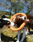 War Ring Durable Waterproof Lightweight Interactive Dog Toy