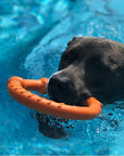 War Ring Durable Waterproof Lightweight Interactive Dog Toy