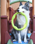 War Ring Durable Waterproof Lightweight Interactive Dog Toy