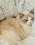 2-in-1 Foldable Soft Round Cat Tunnel Bed